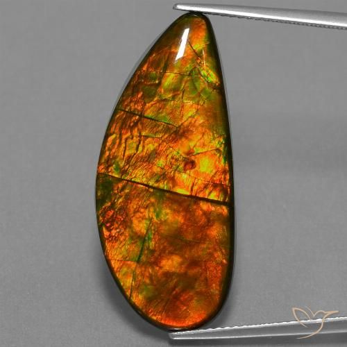 18.94ct Natürlicher Mehrfarbig Ammolith, Fantasie, Lichtundurchlässig