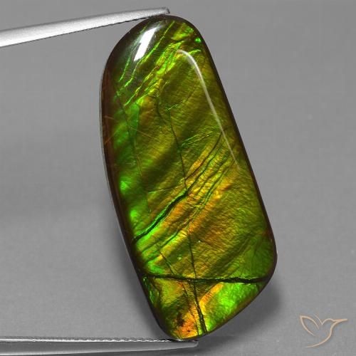 25.90ct Natürlicher Mehrfarbig Ammolith, Fantasie, Lichtundurchlässig