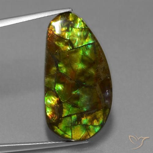 18.96ct Natürlicher Mehrfarbig Ammolith, Fantasie, Lichtundurchlässig