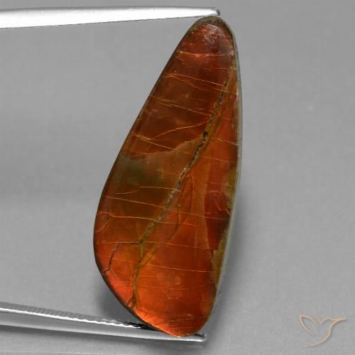 13.94ct Natürlicher Mehrfarbig Ammolith, Fantasie, Lichtundurchlässig