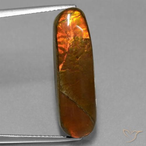 10.96ct Natürlicher Mehrfarbig Ammolith, Fantasie, Lichtundurchlässig