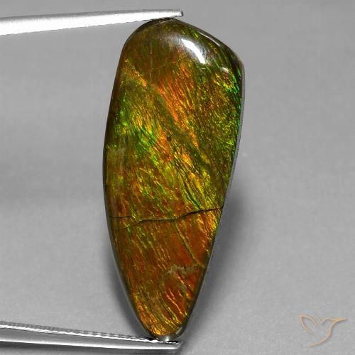 18.13ct Natürlicher Mehrfarbig Ammolith, Fantasie, Lichtundurchlässig