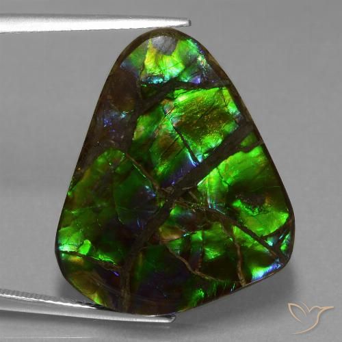 21.05ct Natürlicher Mehrfarbig Ammolith, Trillion, Lichtundurchlässig