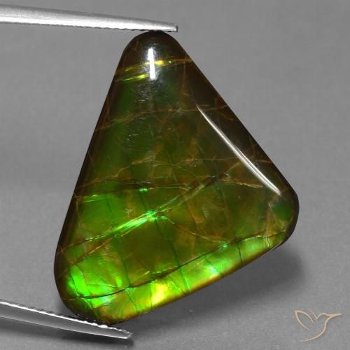 21.83ct Natürlicher Mehrfarbig Ammolith, Trillion, Lichtundurchlässig