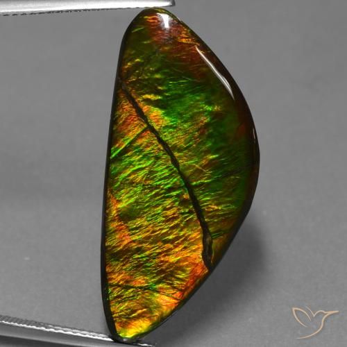 19.31ct Natürlicher Mehrfarbig Ammolith, Fantasie, Lichtundurchlässig