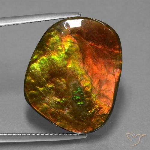 20.65ct Natürlicher Mehrfarbig Ammolith, Fantasie, Lichtundurchlässig