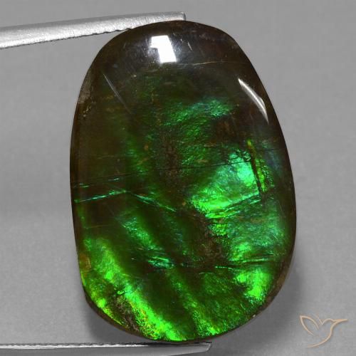 16.23ct Natürlicher Mehrfarbig Ammolith, Fantasie, Lichtundurchlässig