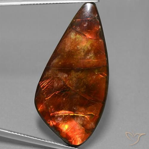 23.09ct Natürlicher Mehrfarbig Ammolith, Fantasie, Lichtundurchlässig