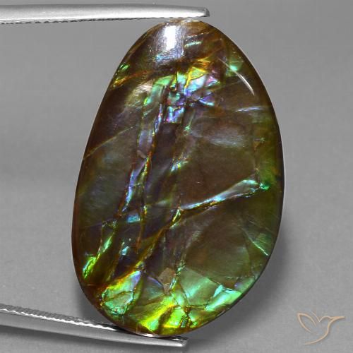 27.74ct Natürlicher Mehrfarbig Ammolith, Fantasie, Lichtundurchlässig