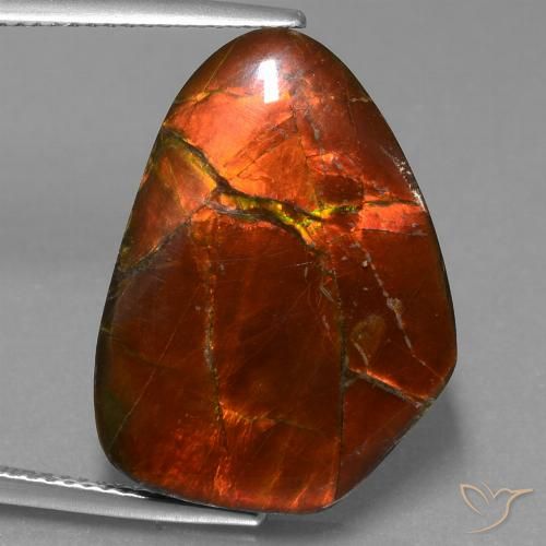 15.20ct Natürlicher Mehrfarbig Ammolith, Fantasie, Lichtundurchlässig