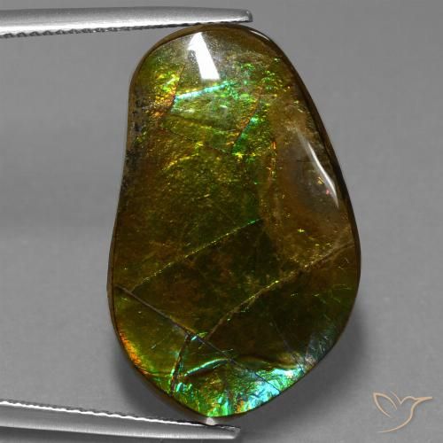 17.83ct Natürlicher Mehrfarbig Ammolith, Fantasie, Lichtundurchlässig