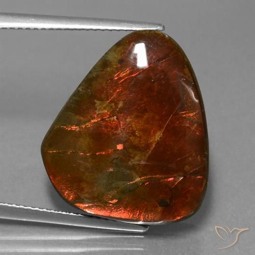 16.97ct Natürlicher Mehrfarbig Ammolith, Fantasie, Lichtundurchlässig