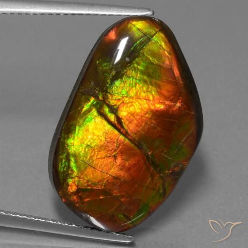 18.18ct Natürlicher Mehrfarbig Ammolith, Fantasie, Lichtundurchlässig