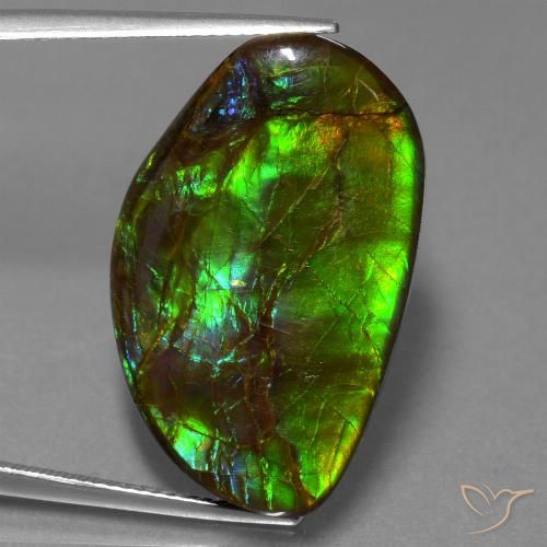19.80ct Natürlicher Mehrfarbig Ammolith, Fantasie, Lichtundurchlässig
