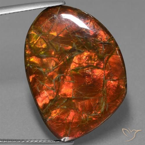 25.32ct Natürlicher Mehrfarbig Ammolith, Fantasie, Lichtundurchlässig