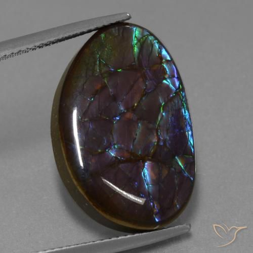 14.02ct Natürlicher Mehrfarbig Ammolith, Fantasie, Lichtundurchlässig