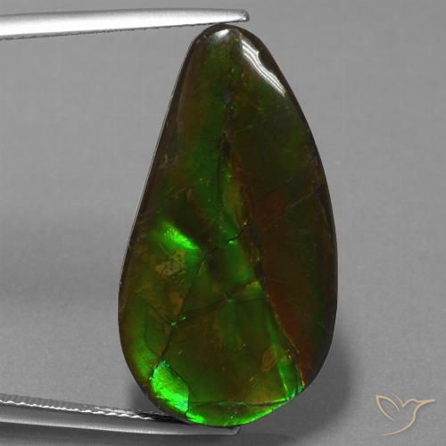 18.29ct Natürlicher Mehrfarbig Ammolith, Fantasie, Lichtundurchlässig