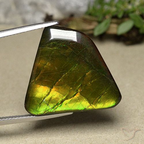 18.57ct Natürlicher Mehrfarbig Ammolith, Fantasie, Lichtundurchlässig