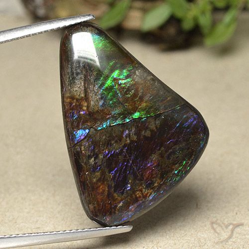 21.94ct Natürlicher Mehrfarbig Ammolith, Fantasie, Lichtundurchlässig