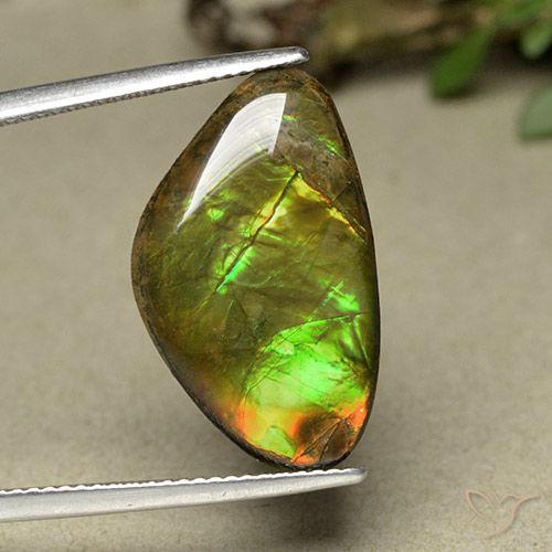 11.44ct Natürlicher Mehrfarbig Ammolith, Fantasie, Lichtundurchlässig