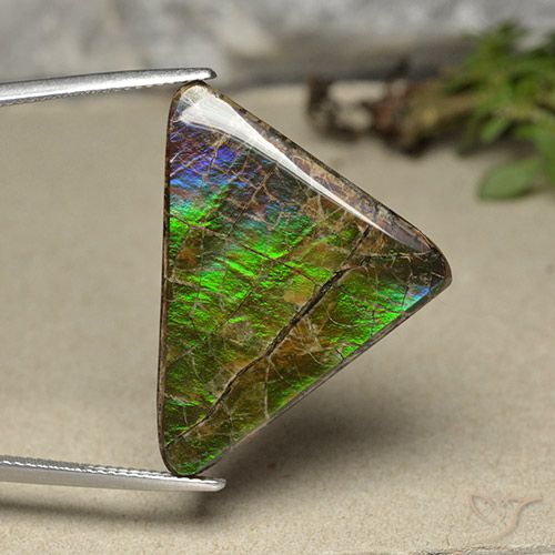 20.55ct Natürlicher Mehrfarbig Ammolith, Trillion, Lichtundurchlässig