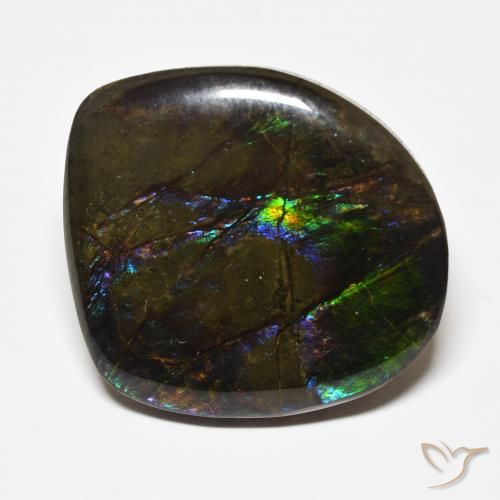 22.71ct Natürlicher Mehrfarbig Ammolith, Fantasie, Lichtundurchlässig
