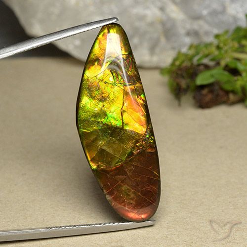 22.66ct Natürlicher Mehrfarbig Ammolith, Fantasie, Lichtundurchlässig