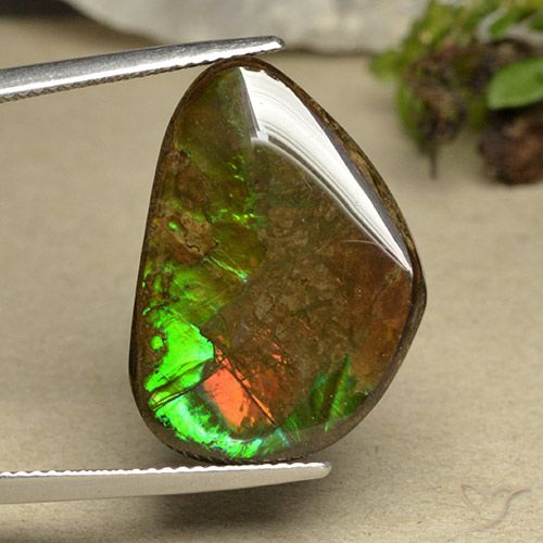 14.98ct Natürlicher Mehrfarbig Ammolith, Fantasie, Lichtundurchlässig