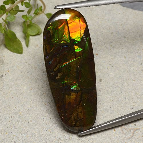 19.11ct Natürlicher Mehrfarbig Ammolith, Fantasie, Lichtundurchlässig