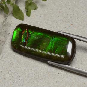 9,17 ctw natürlicher Mehrfarbig Ammolith, Kissenschliff, Lichtundurchlässig