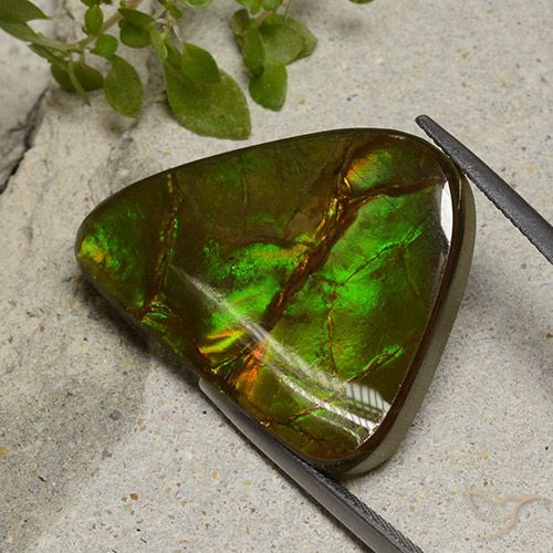 22.87ct Natürlicher Mehrfarbig Ammolith, Fantasie, Lichtundurchlässig