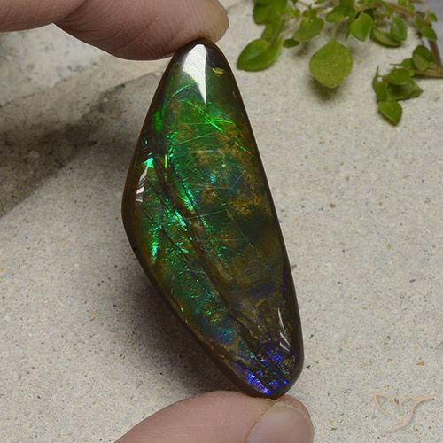 22.28ct Natürlicher Mehrfarbig Ammolith, Fantasie, Lichtundurchlässig