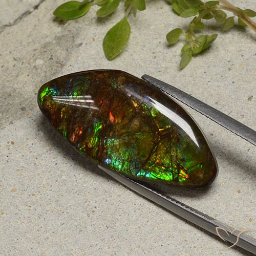 20.58ct Natürlicher Mehrfarbig Ammolith, Fantasie, Lichtundurchlässig