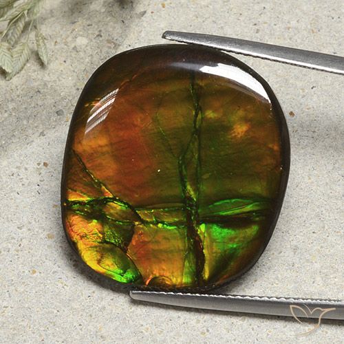 21.57ct Natürlicher Mehrfarbig Ammolith, Kissen, Lichtundurchlässig