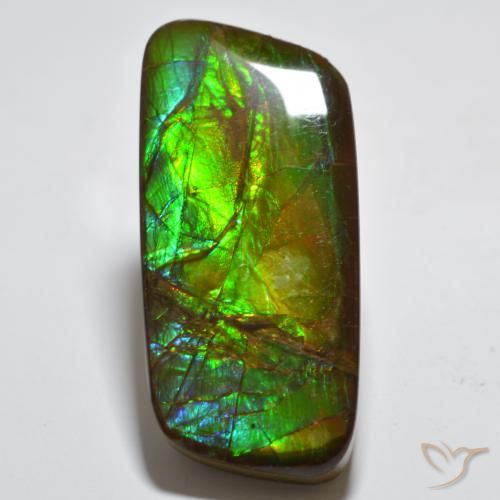 23.38ct Natürlicher Mehrfarbig Ammolith, Fantasie, Lichtundurchlässig