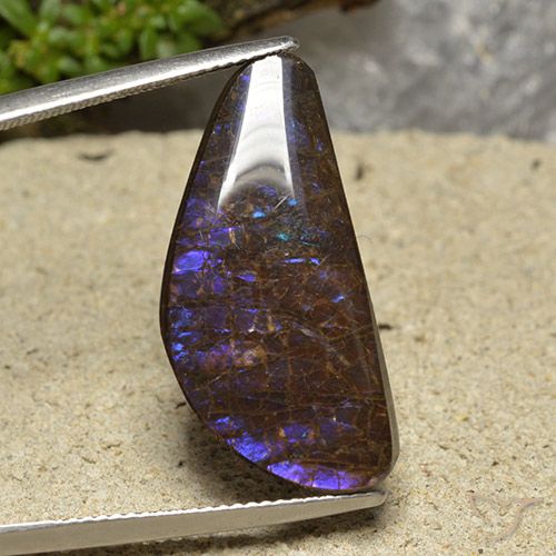15.94ct Natürlicher Mehrfarbig Ammolith, Fantasie, Lichtundurchlässig