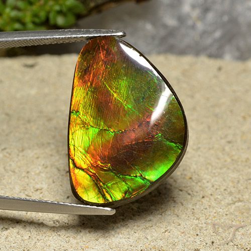 18.57ct Natürlicher Mehrfarbig Ammolith, Fantasie, Lichtundurchlässig