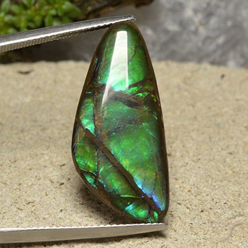 15.08ct Natürlicher Mehrfarbig Ammolith, Fantasie, Lichtundurchlässig