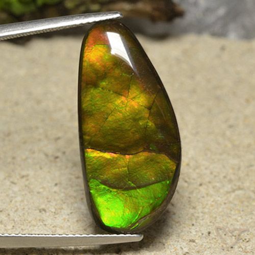 17.01ct Natürlicher Mehrfarbig Ammolith, Fantasie, Lichtundurchlässig