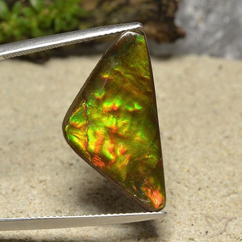 12.19ct Natürlicher Mehrfarbig Ammolith, Trillion, Lichtundurchlässig