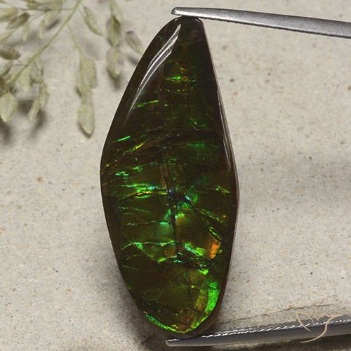19.53ct Natürlicher Mehrfarbig Ammolith, Fantasie, Lichtundurchlässig