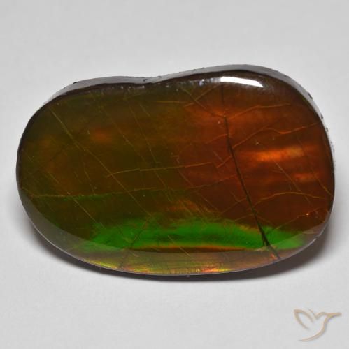 22.58ct Natürlicher Mehrfarbig Ammolith, Fantasie, Lichtundurchlässig