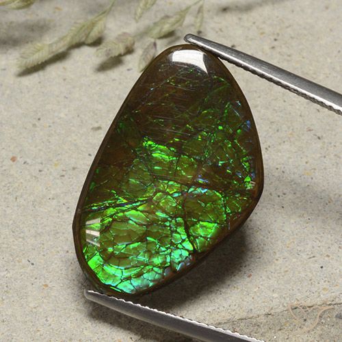 17.38ct Natürlicher Mehrfarbig Ammolith, Fantasie, Lichtundurchlässig