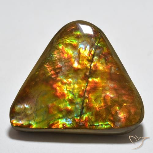 16.58ct Natürlicher Mehrfarbig Ammolith, Trillion, Lichtundurchlässig
