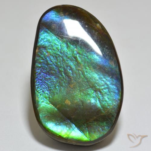 23.81ct Natürlicher Mehrfarbig Ammolith, Fantasie, Lichtundurchlässig