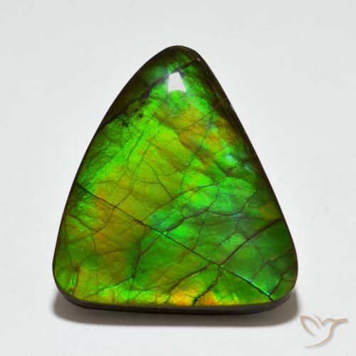 20.44ct Natürlicher Mehrfarbig Ammolith, Fantasie, Lichtundurchlässig