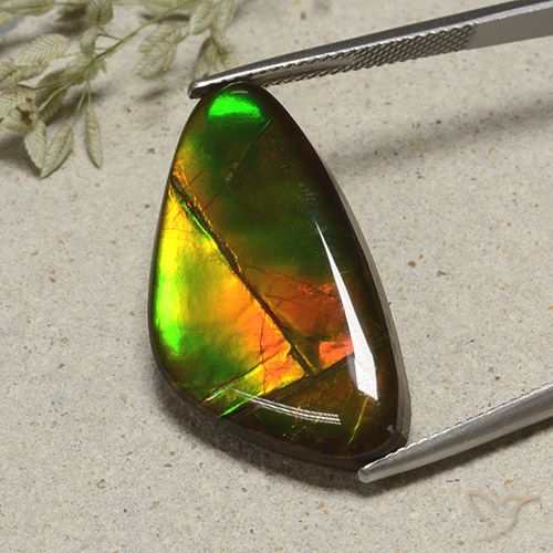 17.24ct Natürlicher Mehrfarbig Ammolith, Fantasie, Lichtundurchlässig