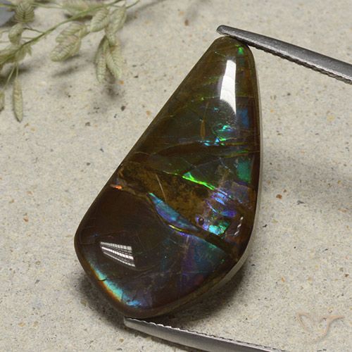 15.41ct Natürlicher Mehrfarbig Ammolith, Fantasie, Lichtundurchlässig