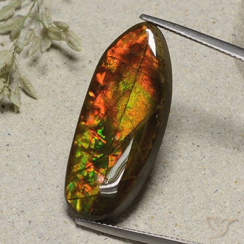 15.74ct Natürlicher Mehrfarbig Ammolith, Fantasie, Lichtundurchlässig