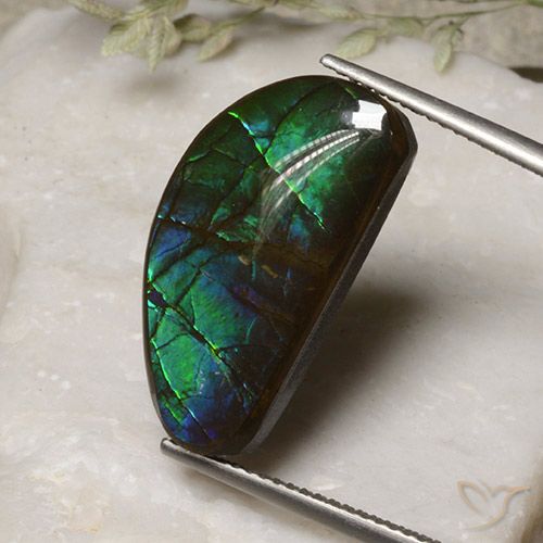 13.17ct Natürlicher Mehrfarbig Ammolith, Fantasie, Lichtundurchlässig